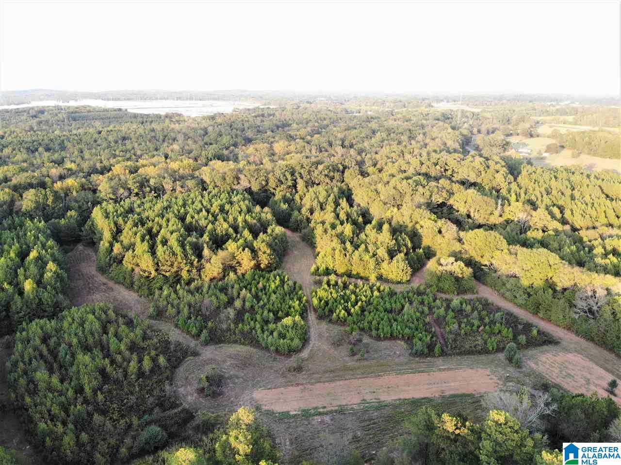 0 Blue Eye Springs Road, Unit 1 Lincoln, AL 35096 - Photo 12 of 24