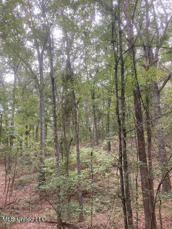 $49,600 | 0 Boswell Road, Holly Springs, MS 38635