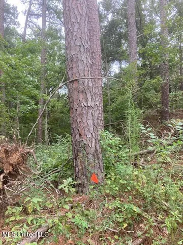 $49,600 | 0 Boswell Road, Holly Springs, MS 38635