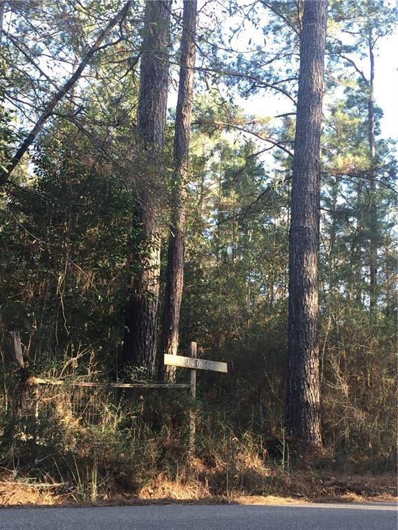 704052 Gottschalk Road Covington, LA 70435 - Photo 2 of 7 Gallery Image 2