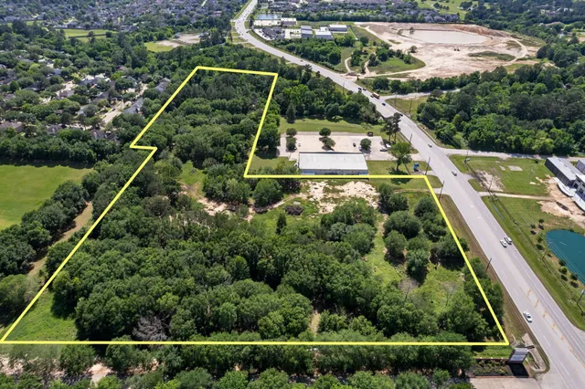 a view of a yard with plants