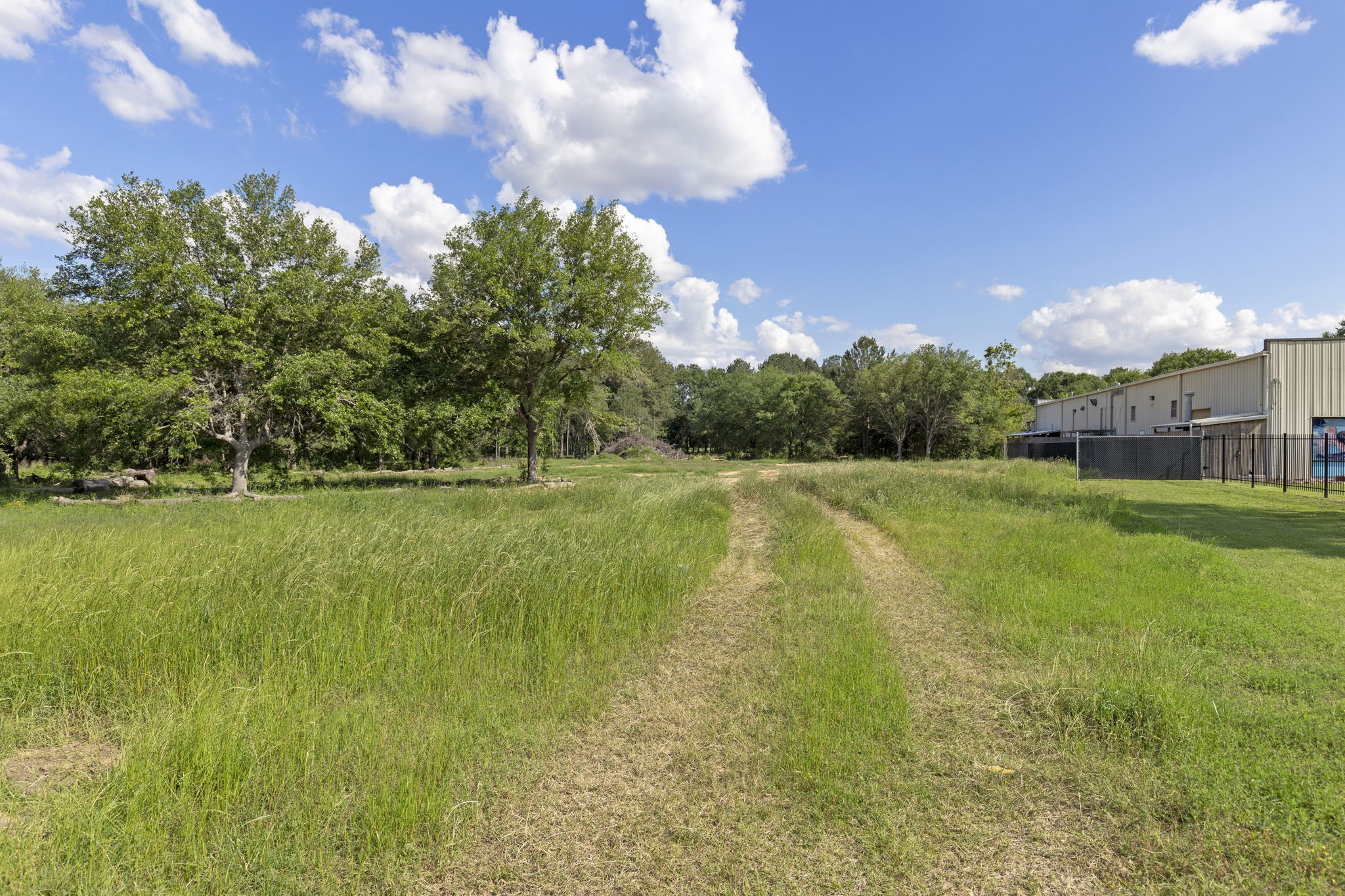 7803 Spring Cypress Road Spring, TX 77379 - Photo 9 of 14 a view of a swimming pool with a yard