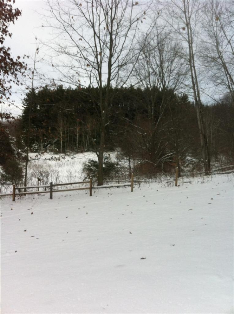 18117 9 Mile Road Copemish, MI 49625 - Photo 3 of 15 Additional Photo