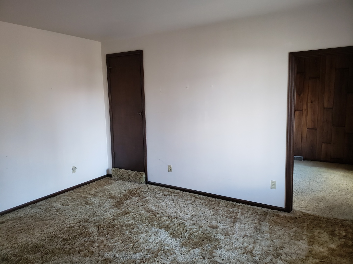 225 Parkway Street Grand Ridge, IL 61325 - Photo 4 of 26