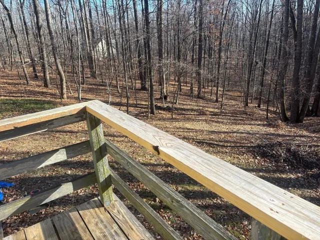 a view of a backyard with trees