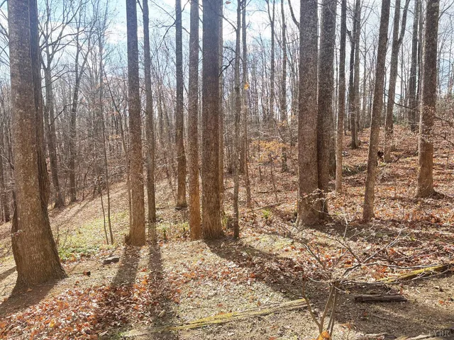 a view of backyard with window and wooden fence