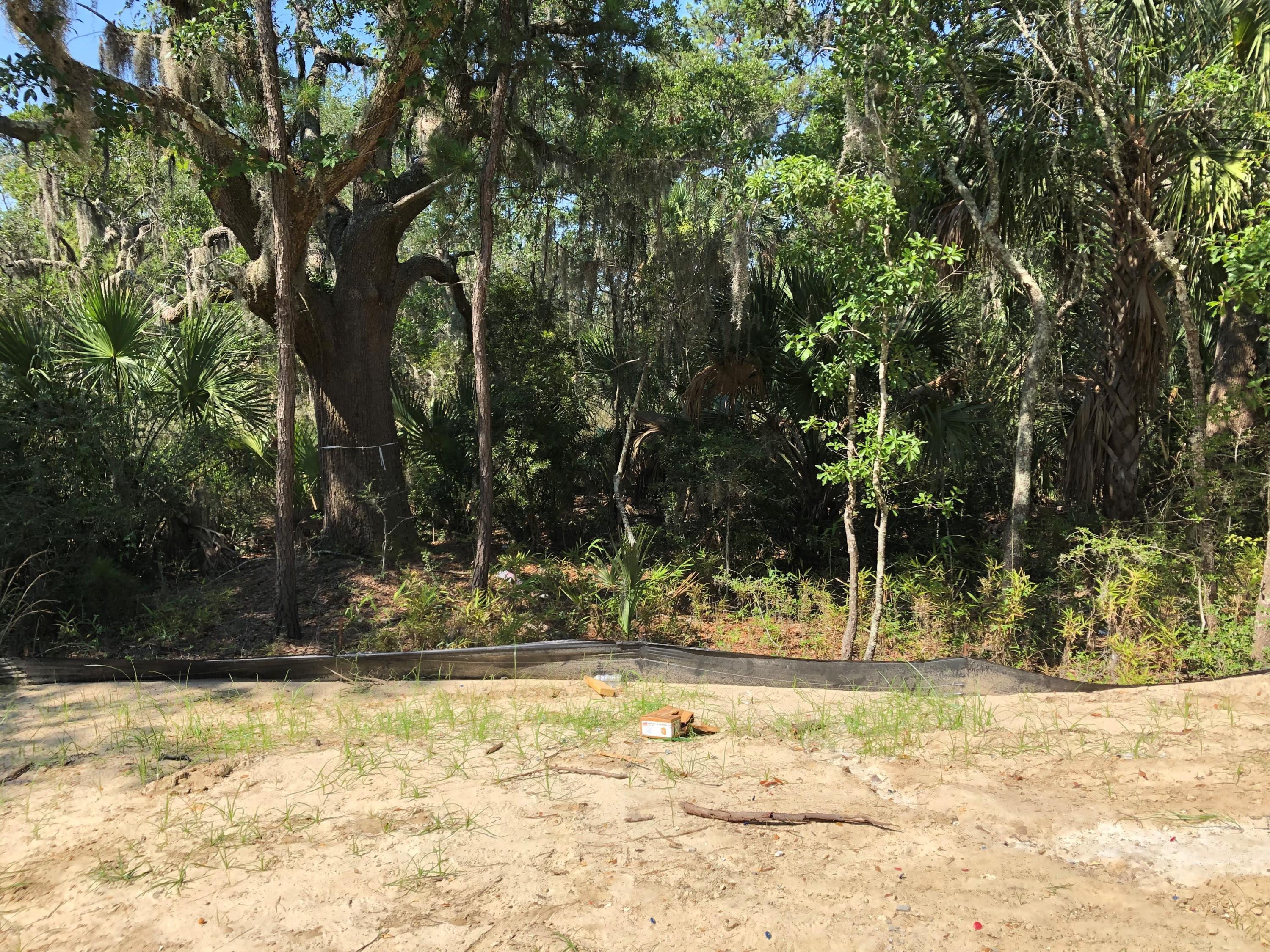 1432 Stratton Place Mount Pleasant, SC 29466 - Photo 10 of 21 Lot 60 backyard view
