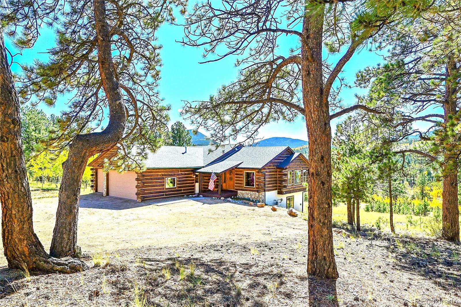 278 Clark Road Bailey, CO 80421 - Photo 37 of 44 a view of a yard with a tree