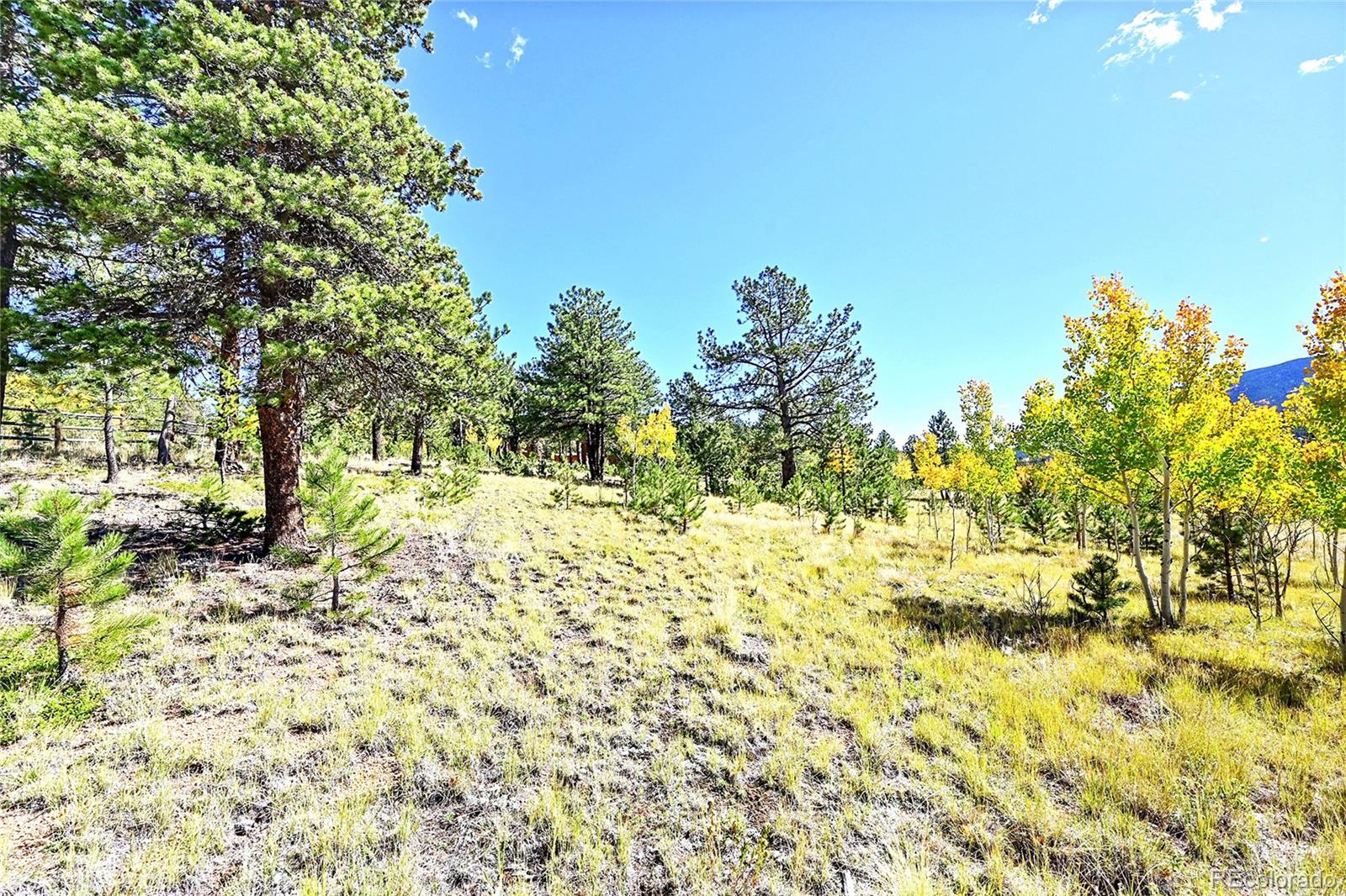 278 Clark Road Bailey, CO 80421 - Photo 41 of 44 a view of ocean view