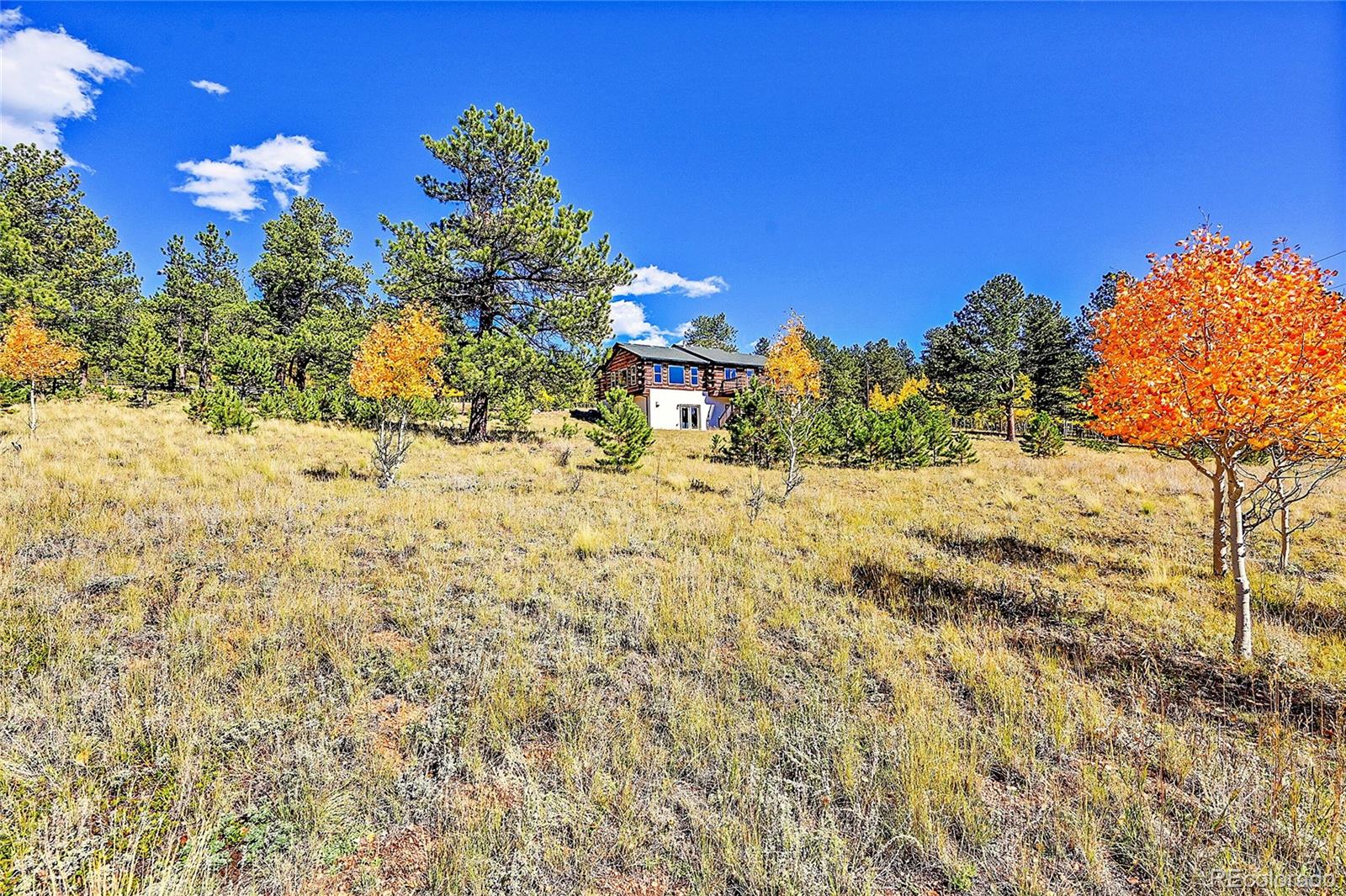 278 Clark Road Bailey, CO 80421 - Photo 43 of 44