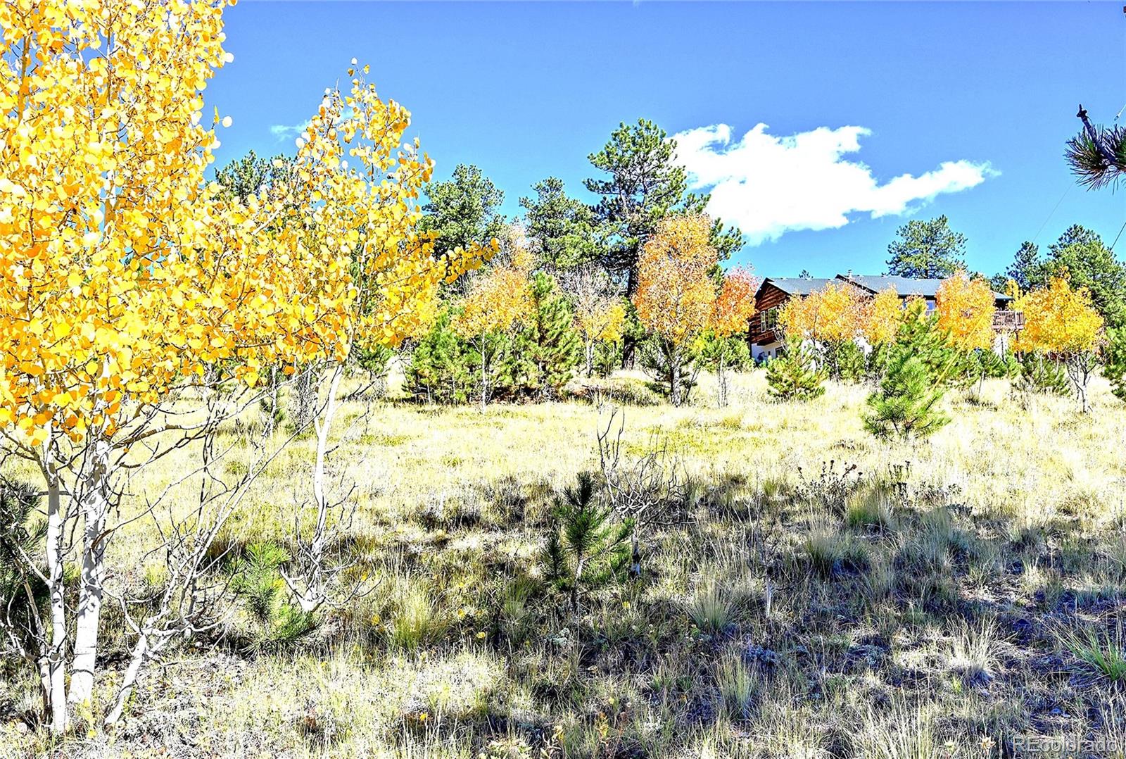 278 Clark Road Bailey, CO 80421 - Photo 44 of 44 a view of a yard with a tree