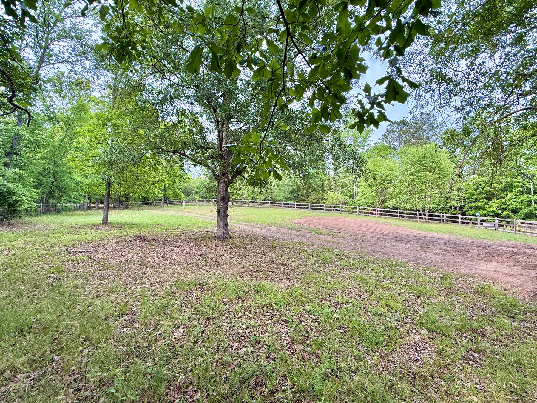2427 Louisville Road Appling, GA 30802 - Photo 4 of 67 2026-04-20-8