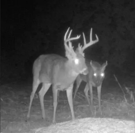 $799,950 | 1500 North N Road, Eudora, KS 66025