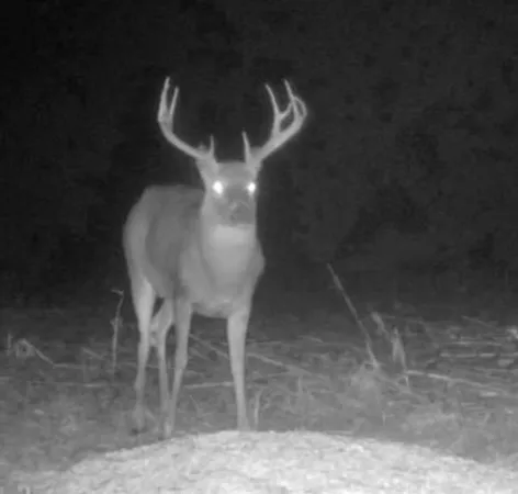 $799,950 | 1500 North N Road, Eudora, KS 66025