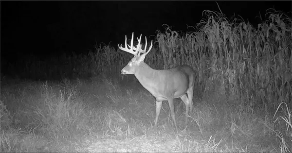 $799,950 | 1500 North N Road, Eudora, KS 66025