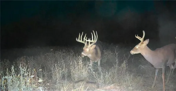 $799,950 | 1500 North N Road, Eudora, KS 66025