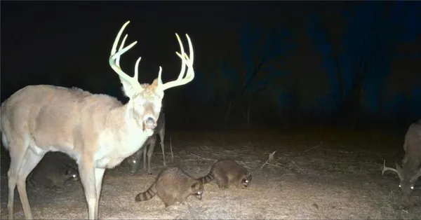 $799,950 | 1500 North N Road, Eudora, KS 66025