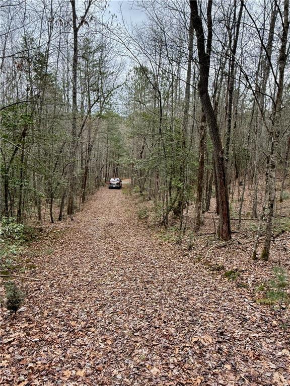 807 East Ridge Lane Ellijay, GA 30536 - Photo 6 of 7