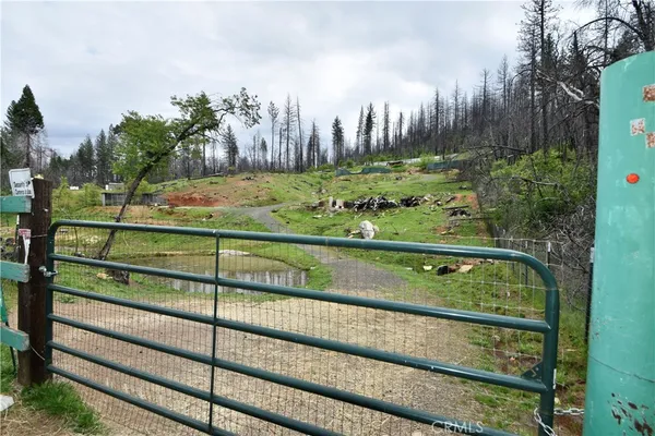 a view of a yard with wooden fence
