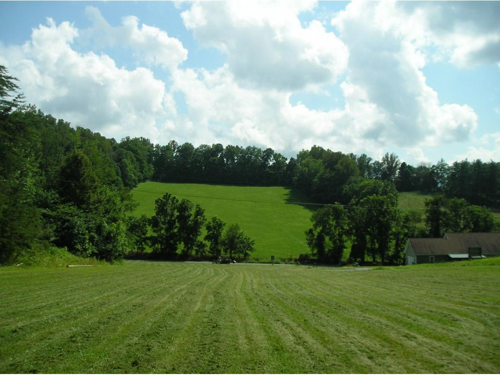 Lot 5 Shepherds Branch Road Unicoi, TN 37692 - Photo 1 of 2 Photo 1