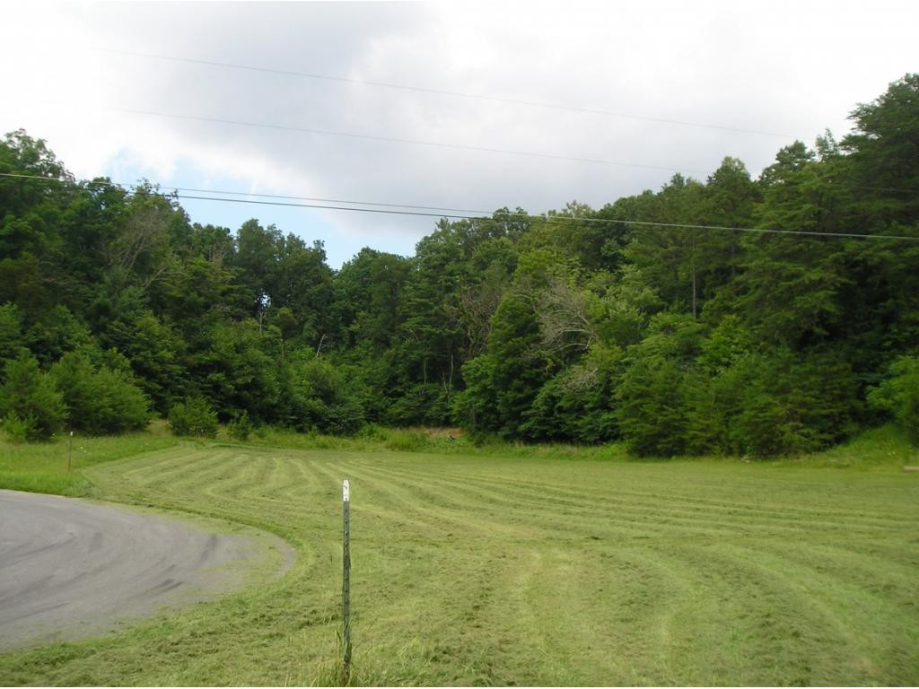 Lot 5 Shepherds Branch Road Unicoi, TN 37692 - Photo 2 of 2 Photo 2
