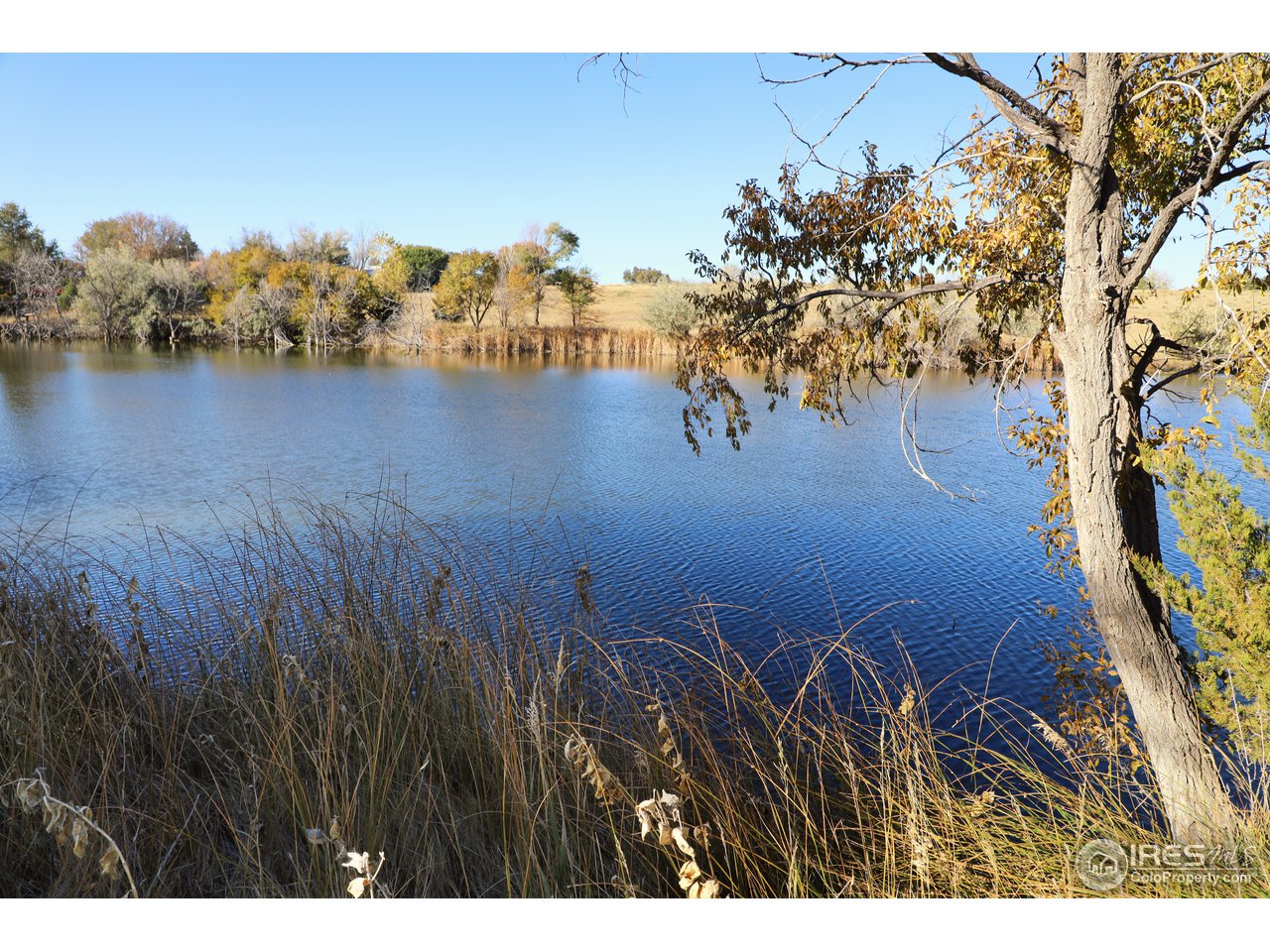 17757 County Rd T5 Fort Morgan, CO 80701 - Photo 38 of 40 Private Pond
