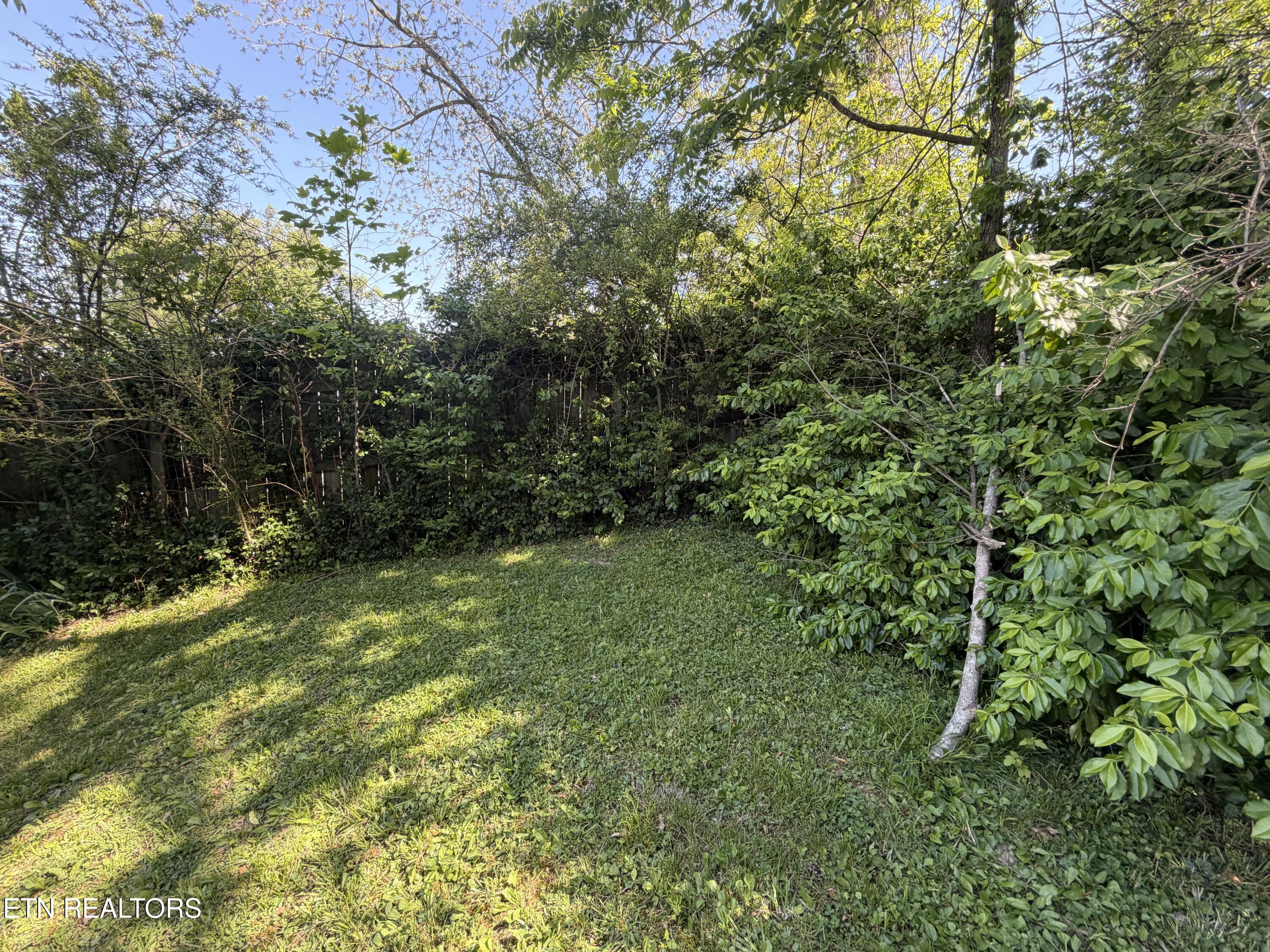 216 North Cross Street Oneida, TN 37841 - Photo 12 of 36 IMG_7167