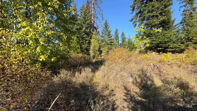 $212,000 | Tbd White Pine Drive, Orofino, ID 83544