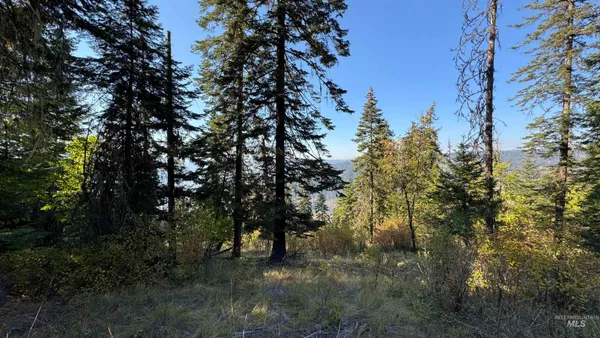 $212,000 | Tbd White Pine Drive, Orofino, ID 83544