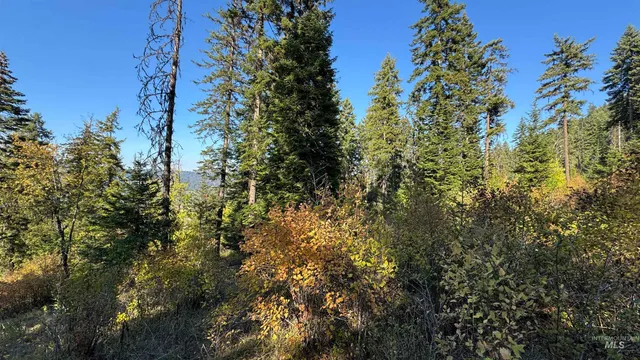 $212,000 | Tbd White Pine Drive, Orofino, ID 83544