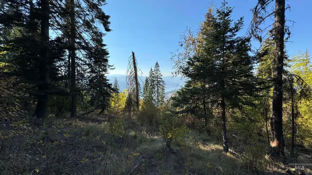 $212,000 | Tbd White Pine Drive, Orofino, ID 83544