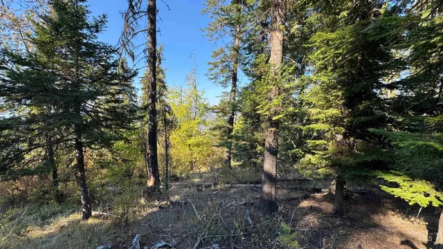 $212,000 | Tbd White Pine Drive, Orofino, ID 83544