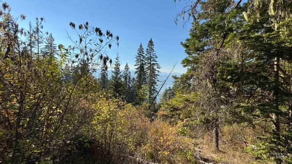 $212,000 | Tbd White Pine Drive, Orofino, ID 83544