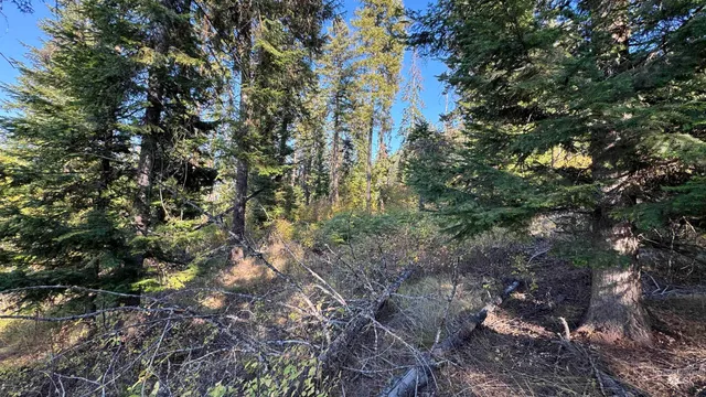 $212,000 | Tbd White Pine Drive, Orofino, ID 83544