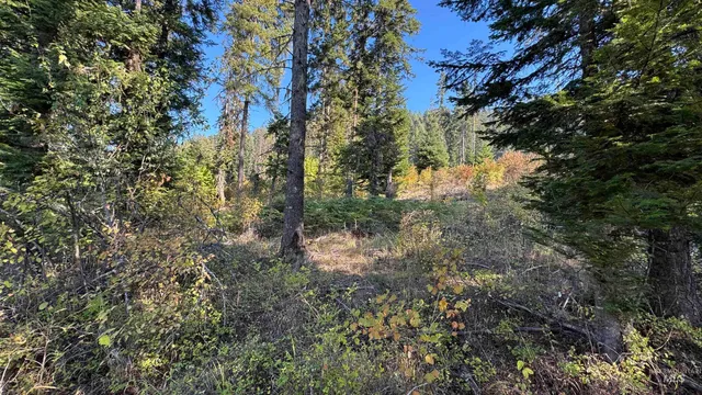 $212,000 | Tbd White Pine Drive, Orofino, ID 83544