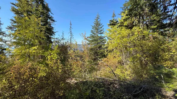 $212,000 | Tbd White Pine Drive, Orofino, ID 83544