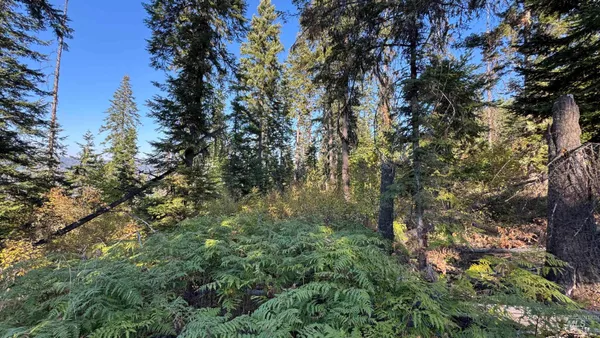 $212,000 | Tbd White Pine Drive, Orofino, ID 83544