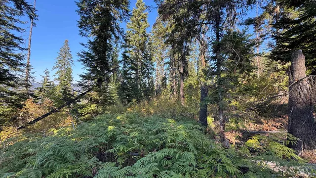 $212,000 | Tbd White Pine Drive, Orofino, ID 83544