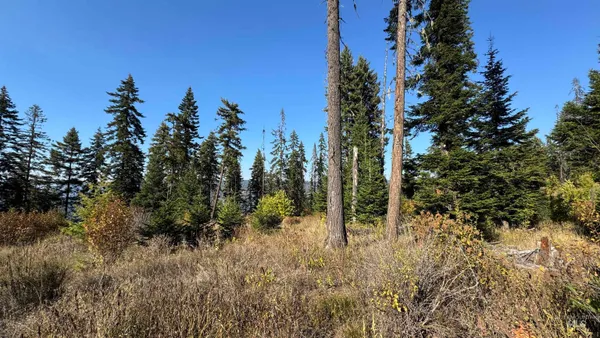 $212,000 | Tbd White Pine Drive, Orofino, ID 83544