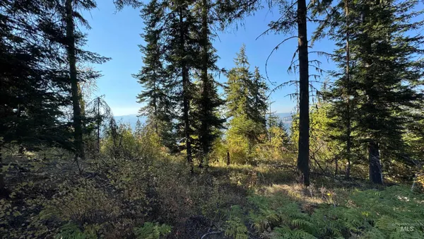 $212,000 | Tbd White Pine Drive, Orofino, ID 83544