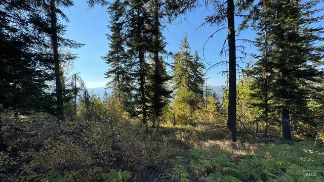 $212,000 | Tbd White Pine Drive, Orofino, ID 83544