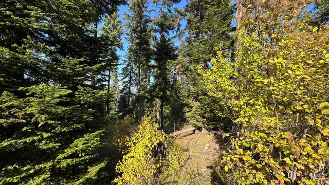 $212,000 | Tbd White Pine Drive, Orofino, ID 83544