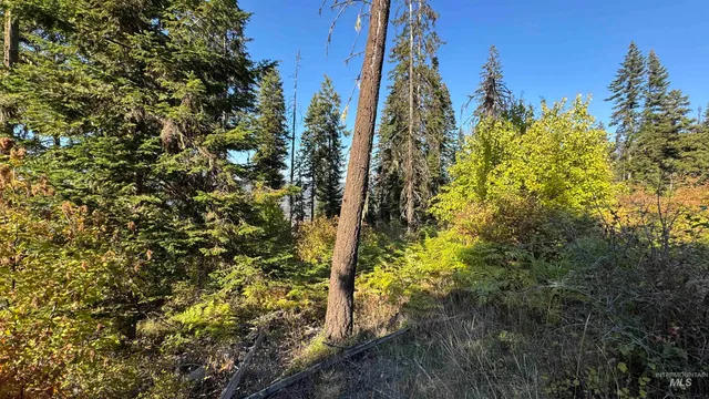 $212,000 | Tbd White Pine Drive, Orofino, ID 83544