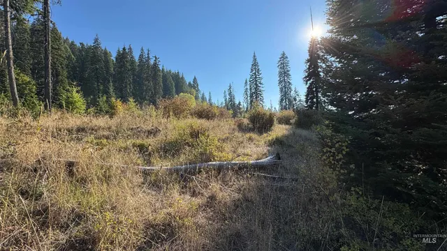 $212,000 | Tbd White Pine Drive, Orofino, ID 83544