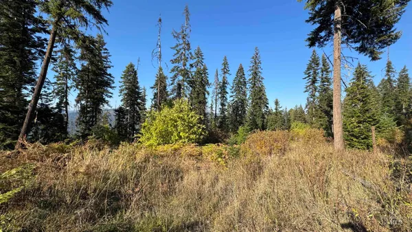 $212,000 | Tbd White Pine Drive, Orofino, ID 83544