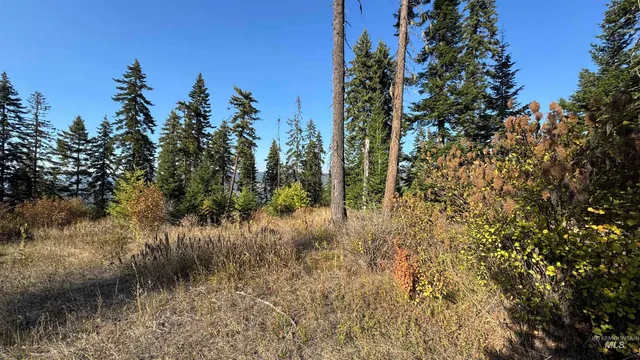$212,000 | Tbd White Pine Drive, Orofino, ID 83544