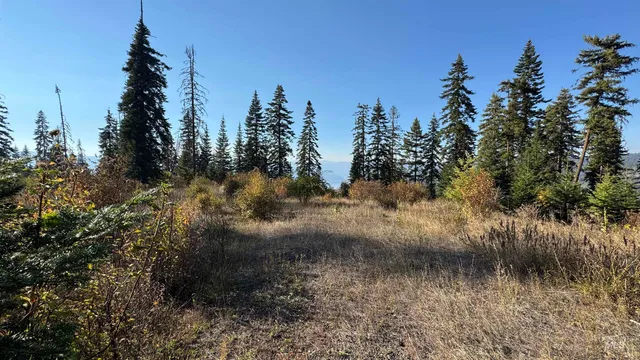 $212,000 | Tbd White Pine Drive, Orofino, ID 83544