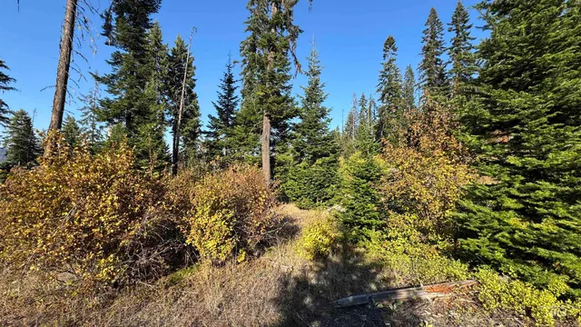 $212,000 | Tbd White Pine Drive, Orofino, ID 83544