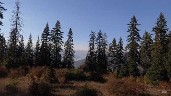 $212,000 | Tbd White Pine Drive, Orofino, ID 83544