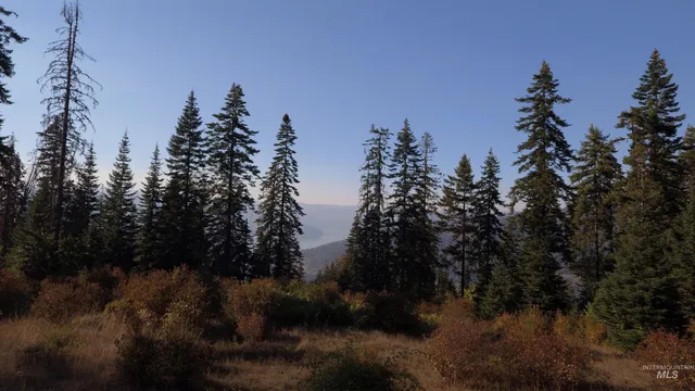 $212,000 | Tbd White Pine Drive, Orofino, ID 83544